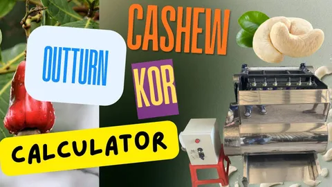 Castanhas de caju cruas e amêndoas brancas finalizadas pesadas lado a lado para ilustrar o cálculo do outturn (relação de rendimento de amêndoa, KOR)