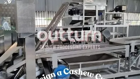 Linha de processamento de castanha de caju com máquinas de corte e bandejas de amêndoas, ilustrando o cálculo de ROI para um investimento em linha de corte