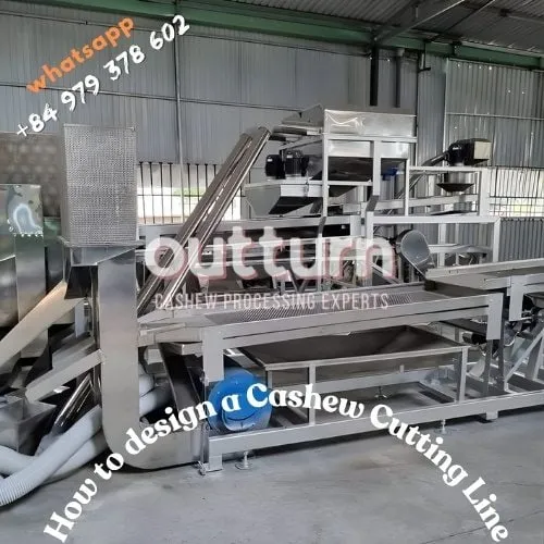 Ligne de traitement de la noix de cajou avec machines de découpe et plateaux d'amandes, illustrant un calcul de ROI pour un investissement dans une ligne de découpe