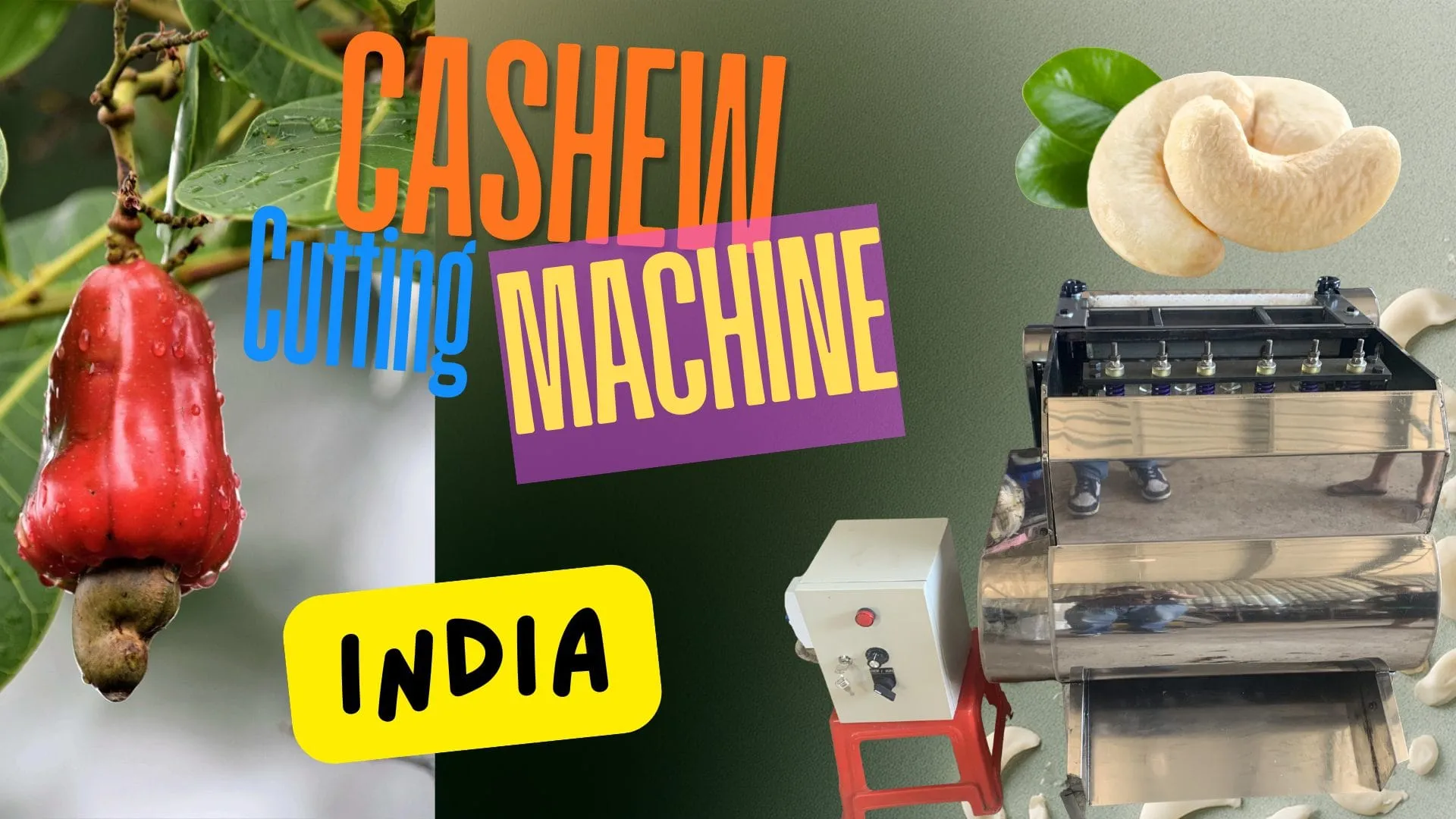 இந்தியாவில் ஒரு பதப்படுத்தும் வசதியில் வரிசைப்படுத்தப்படும் பச்சை முந்திரி