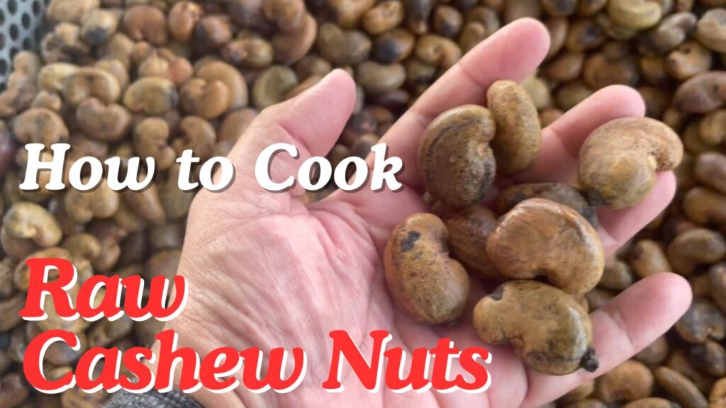 ow to Steam Cook Cashew Nuts in a cashew factory