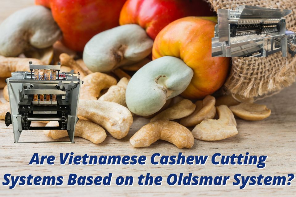 Are Vietnamese Cashew Cutting Systems Based on the Oldsmar System