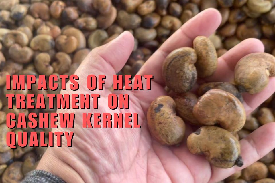 Impacts of Heat Treatment on Cashew Kernel Quality