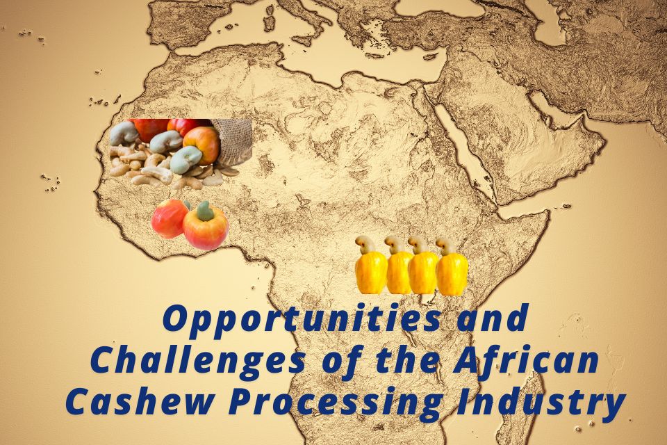 Opportunities and Challenges of the African Cashew Processing Industry