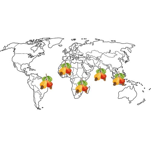 Global Reach of Cashew Fruit Separator Machines