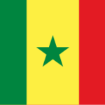flag of senegal.svg