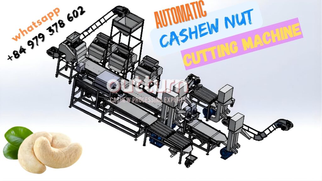 Automatic Cashew Nut Cutting Machine automatic cashew nut cutting machine
