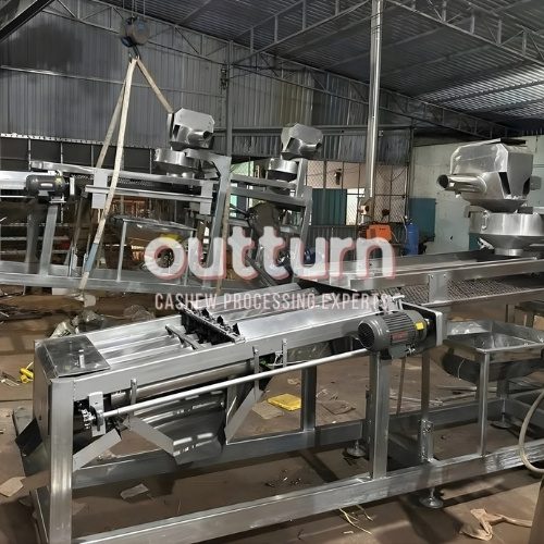 fully automatic cashew cutting machine