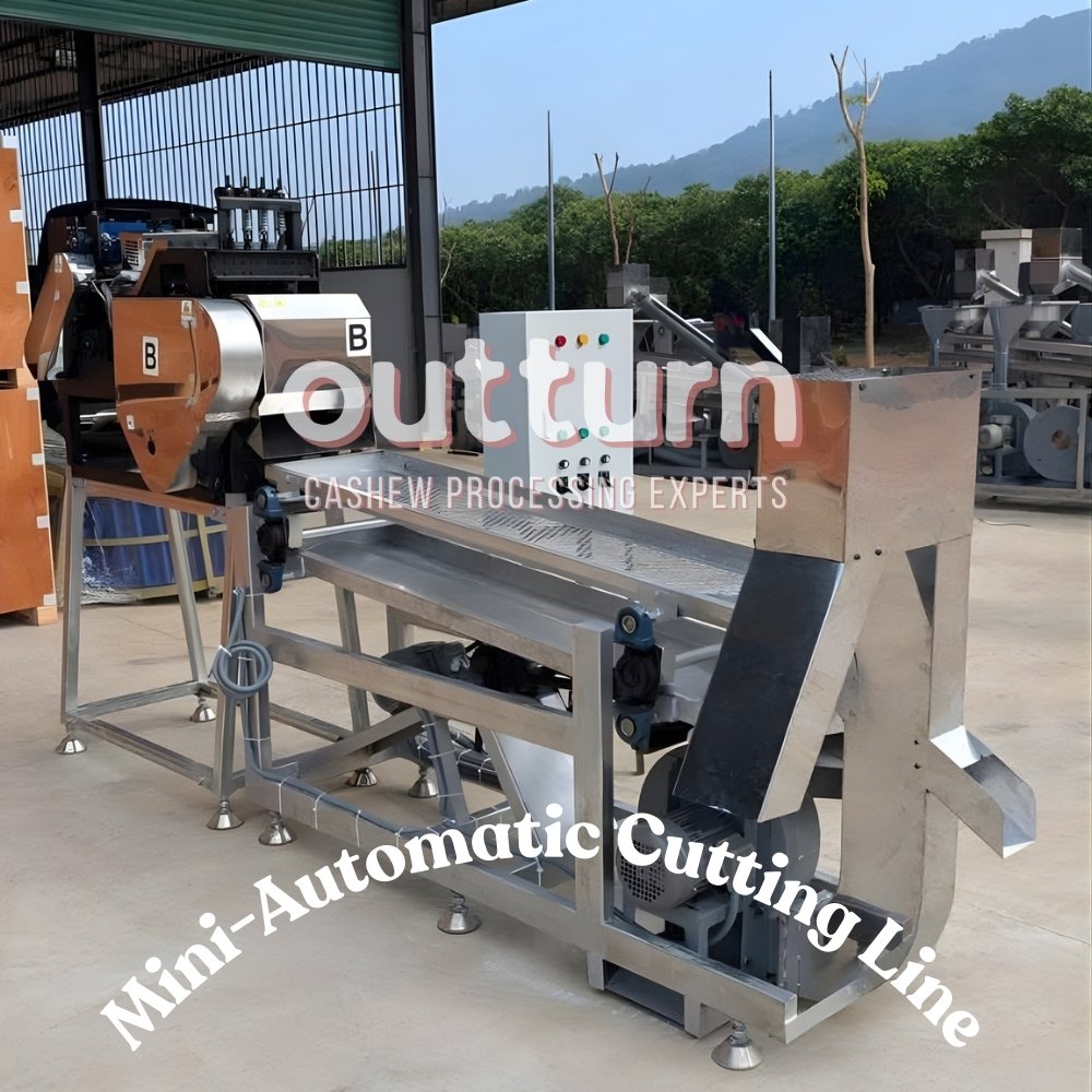 mini automatic cashew cutting line