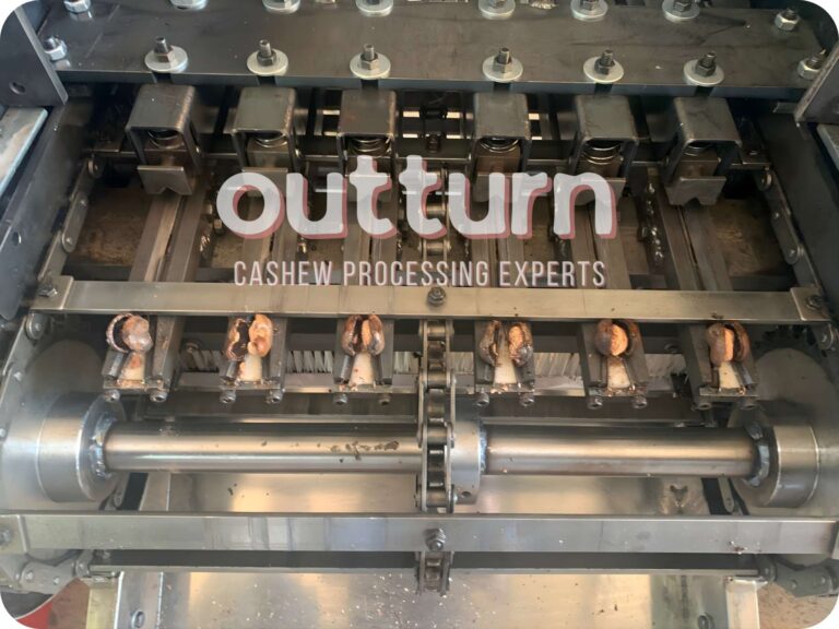 the perfect cashew cut